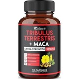 Tribulus Terrestris / Трибулус Терестрис Tribulus Terrestris / Трибулус Терестрис