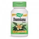 Дамиана ( лист )