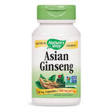 Женшен Азиатски / Корейски (корен)