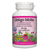 Гинко Билоба