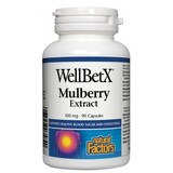 Бяла черница 