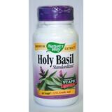 Свещен босилек / Тулси