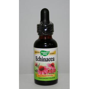 Ехинацея