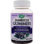 Самбукус Гъми - Черен бъз