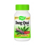 Китайска ангелика (корен)