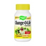 Чейндж-о-лайф